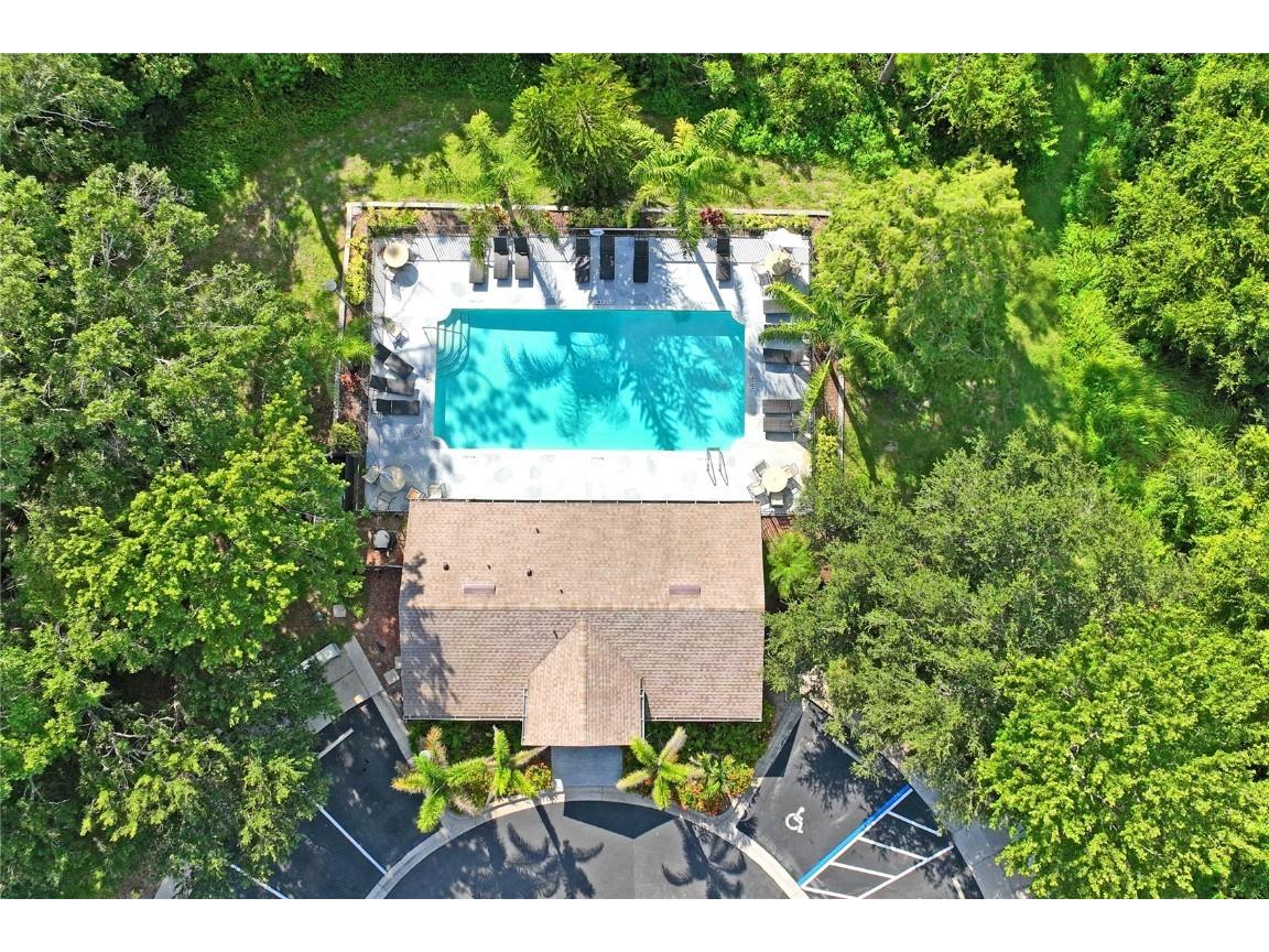 8604 Great Egret Trace New Port Richey FL 34653 TB8411740 image42