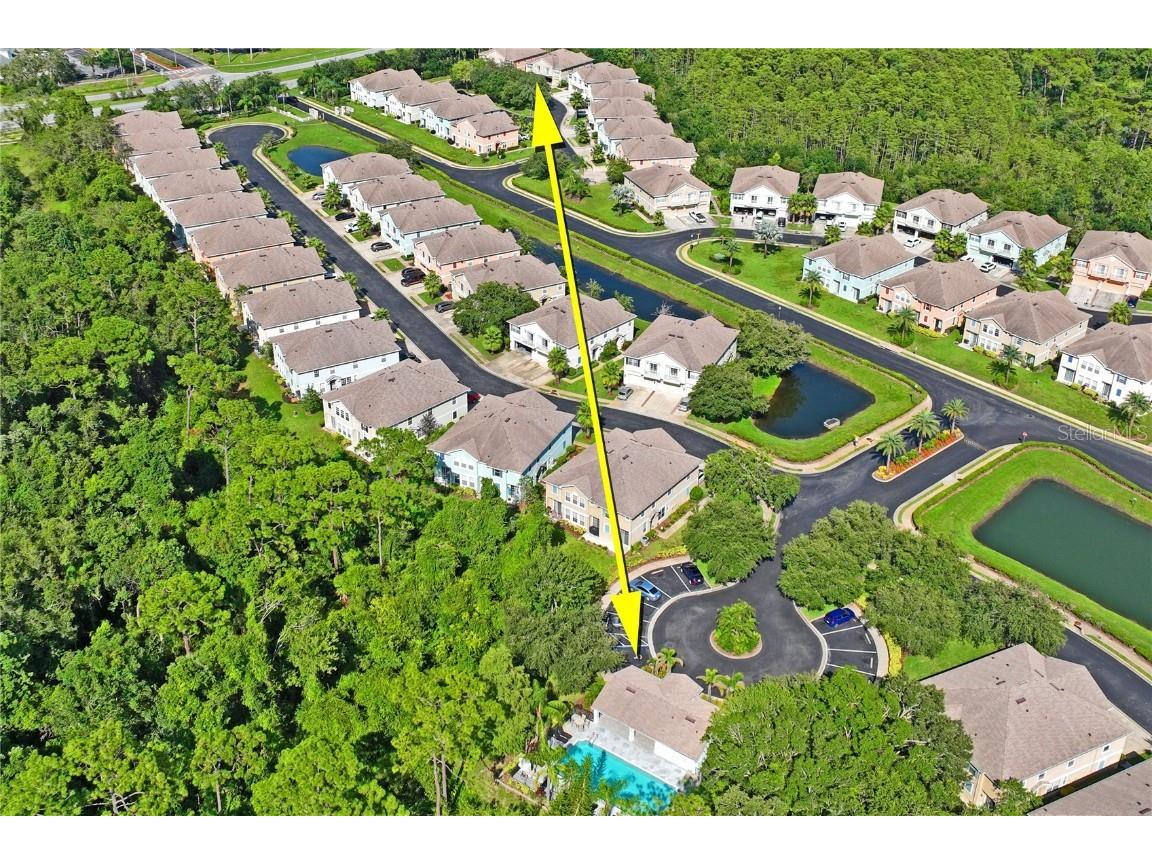 8604 Great Egret Trace New Port Richey FL 34653 TB8411740 image43