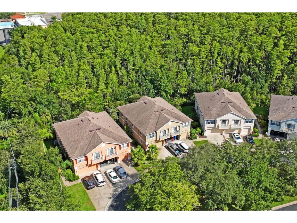 8604 Great Egret Trace New Port Richey FL 34653 TB8411740 image44