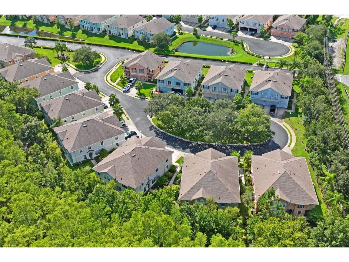 8604 Great Egret Trace New Port Richey FL 34653 TB8411740 image46