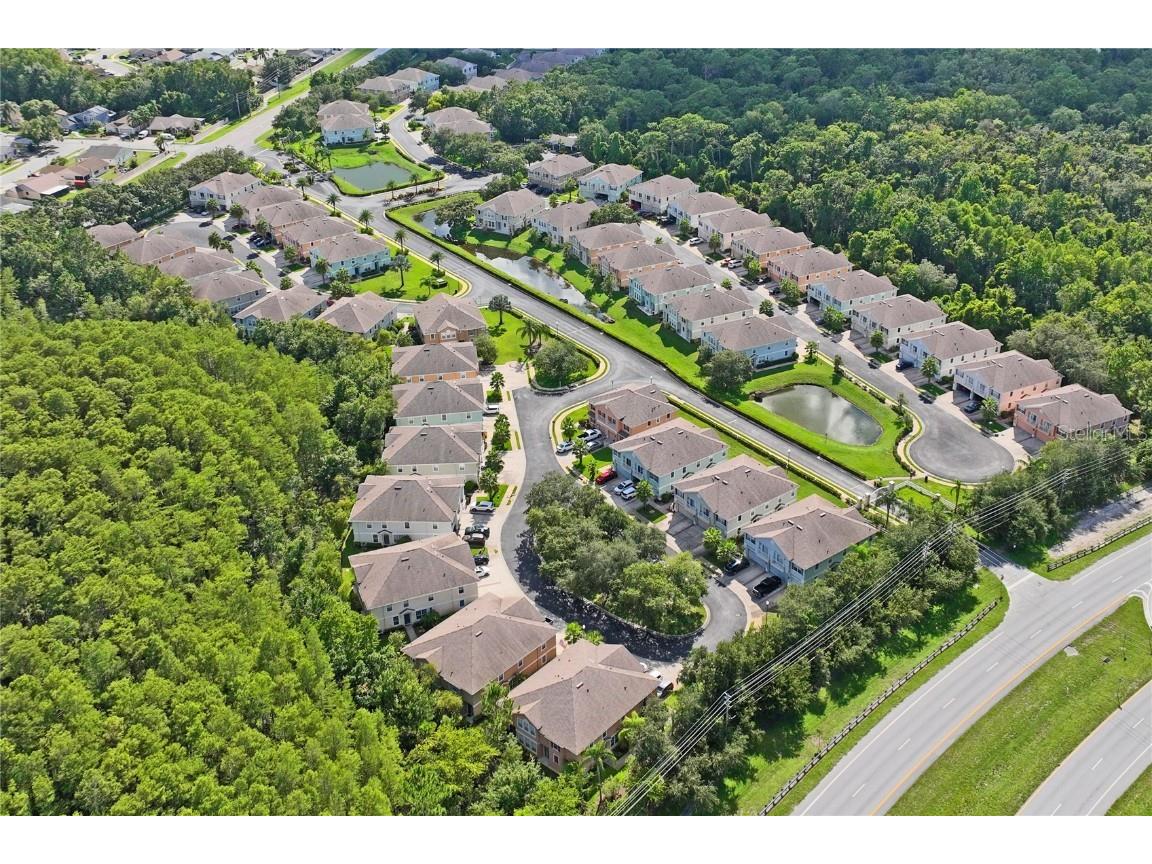 8604 Great Egret Trace New Port Richey FL 34653 TB8411740 image47