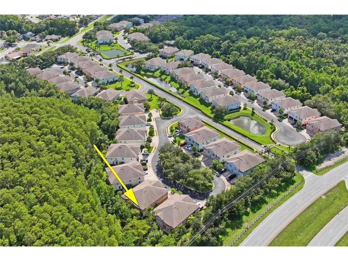 8604 Great Egret Trace New Port Richey FL 34653 TB8411740 image48