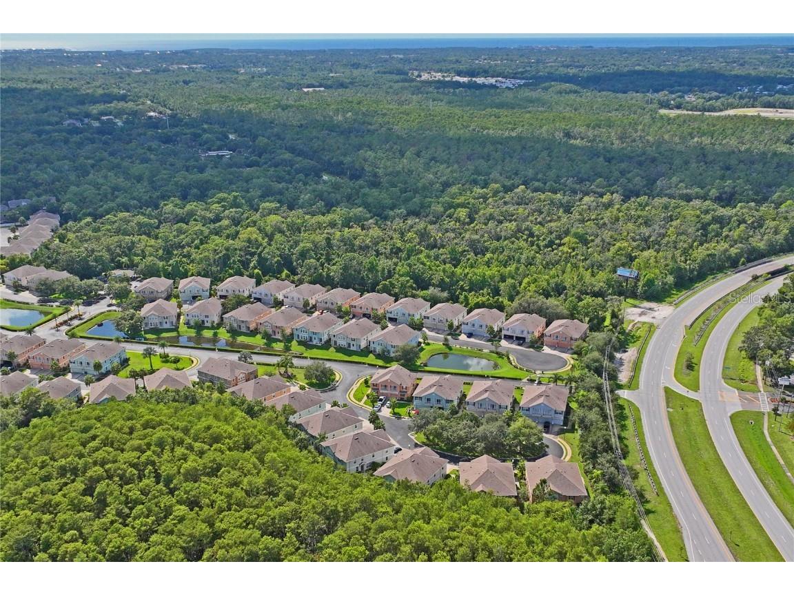 8604 Great Egret Trace New Port Richey FL 34653 TB8411740 image49