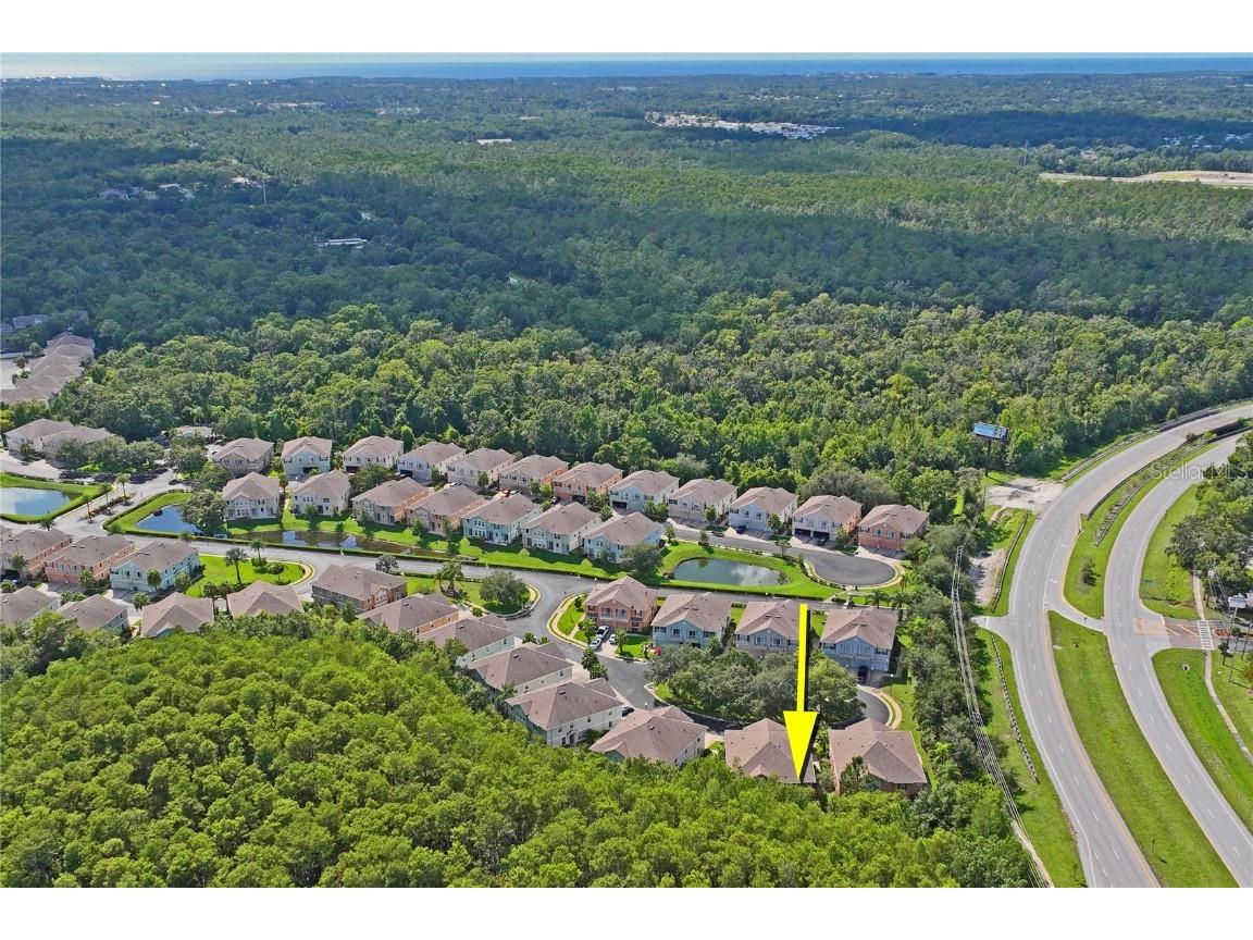 8604 Great Egret Trace New Port Richey FL 34653 TB8411740 image50