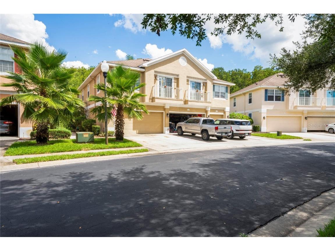 8604 Great Egret Trace New Port Richey FL 34653 TB8411740 image53