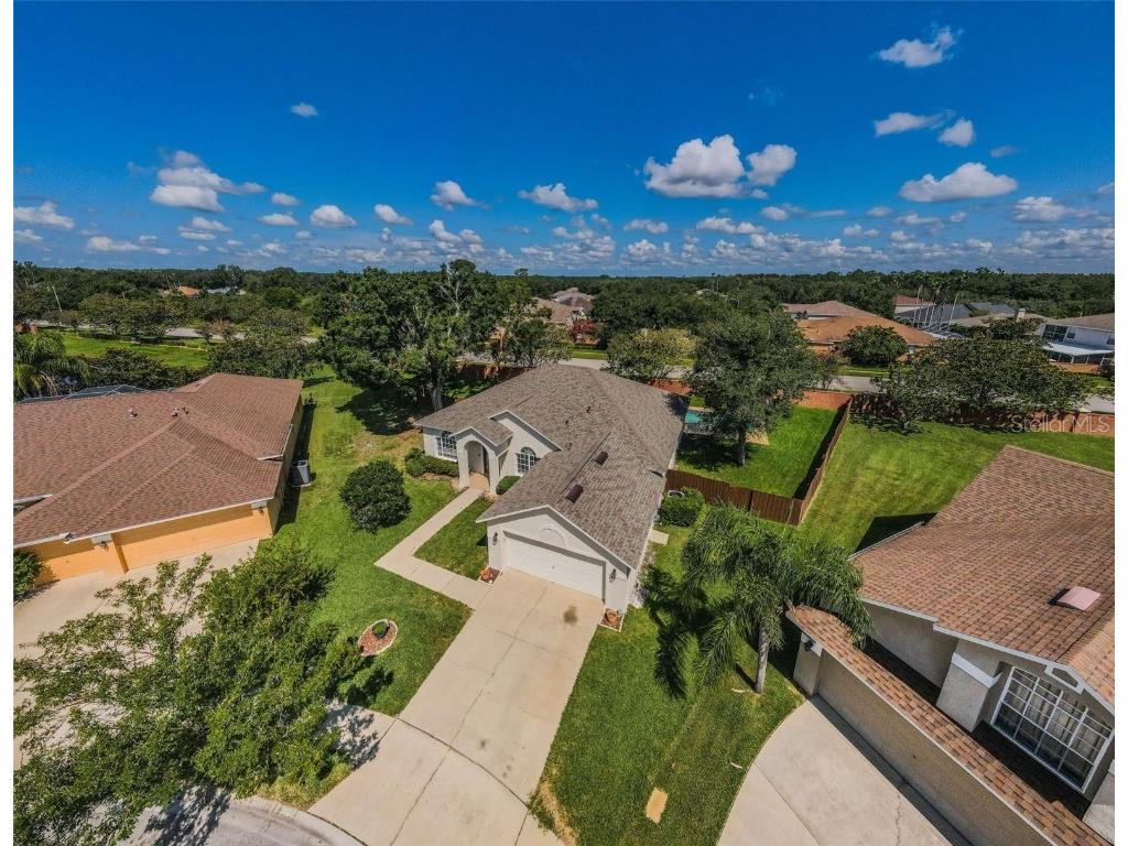 8604 Herons Cove Place Tampa FL 33647 TB8399775 image3