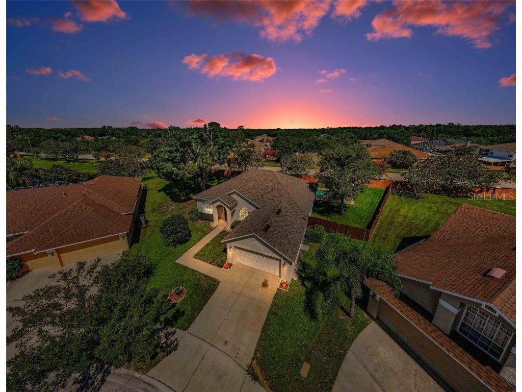 8604 Herons Cove Place Tampa FL 33647 TB8399775 image4