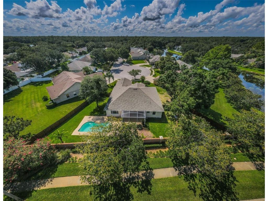 8604 Herons Cove Place Tampa FL 33647 TB8399775 image47