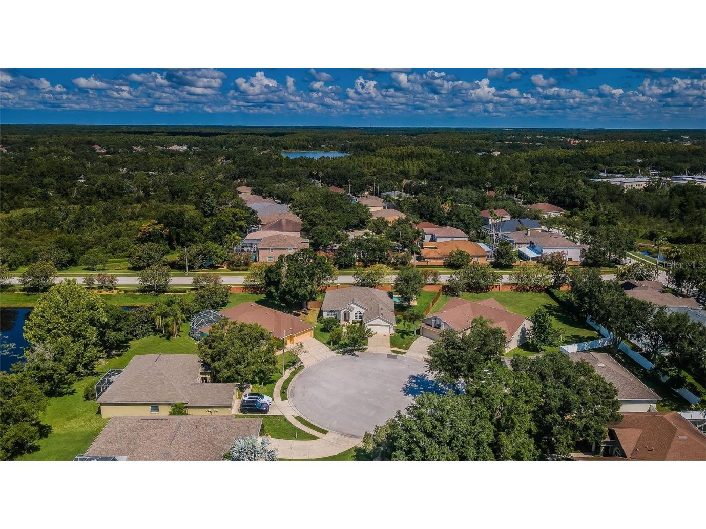 8604 Herons Cove Place Tampa FL 33647 TB8399775 image48