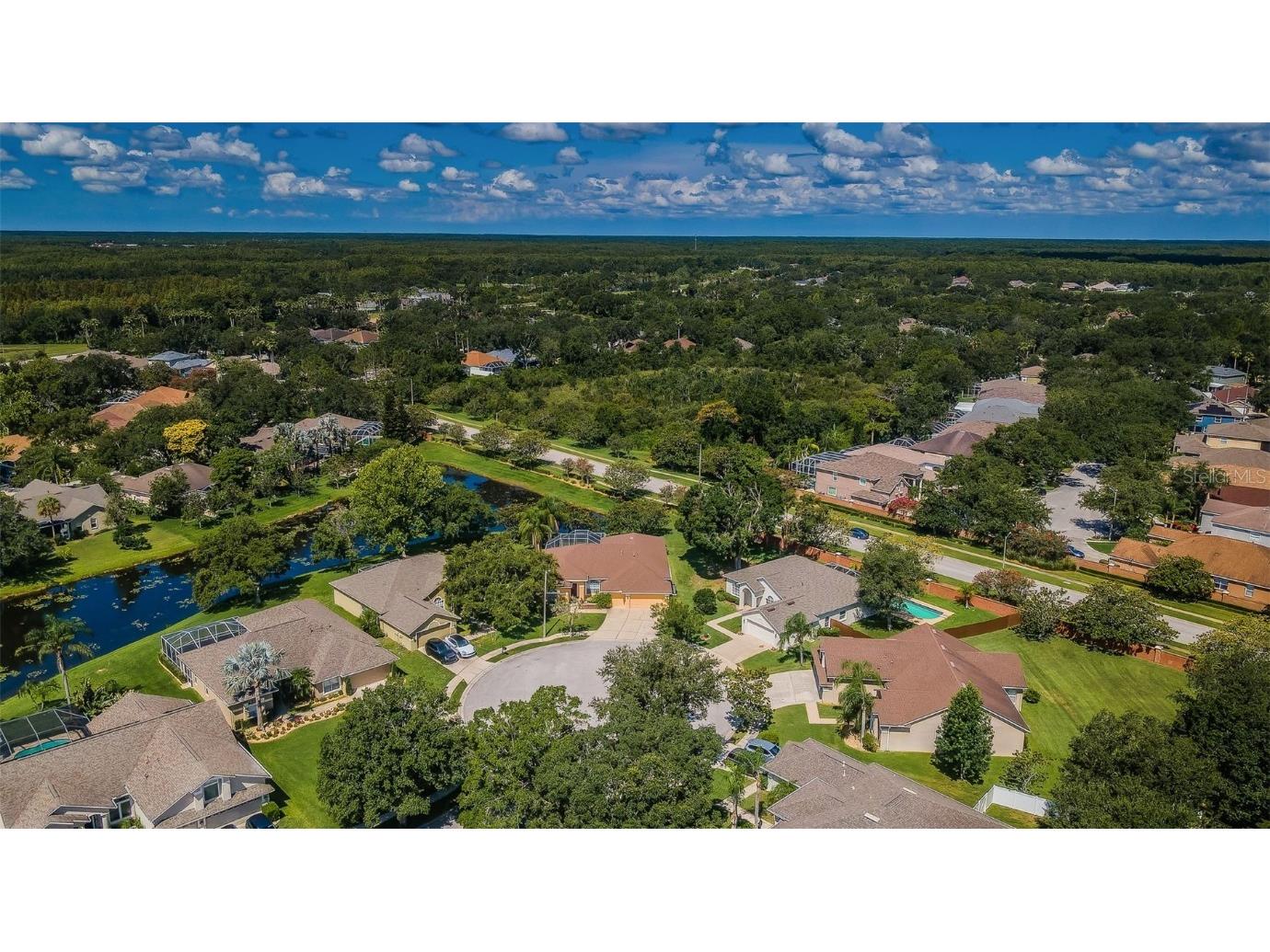 8604 Herons Cove Place Tampa FL 33647 TB8399775 image49