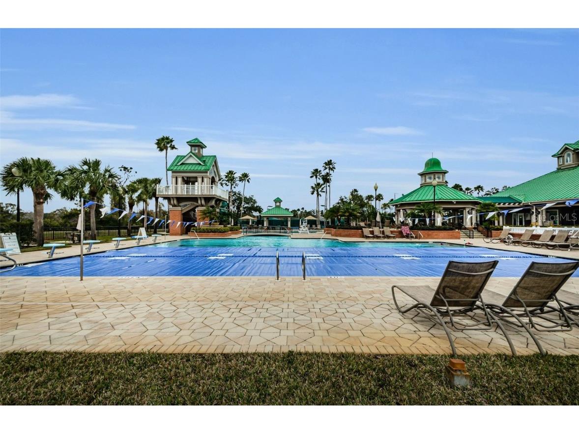 8604 Herons Cove Place Tampa FL 33647 TB8399775 image59