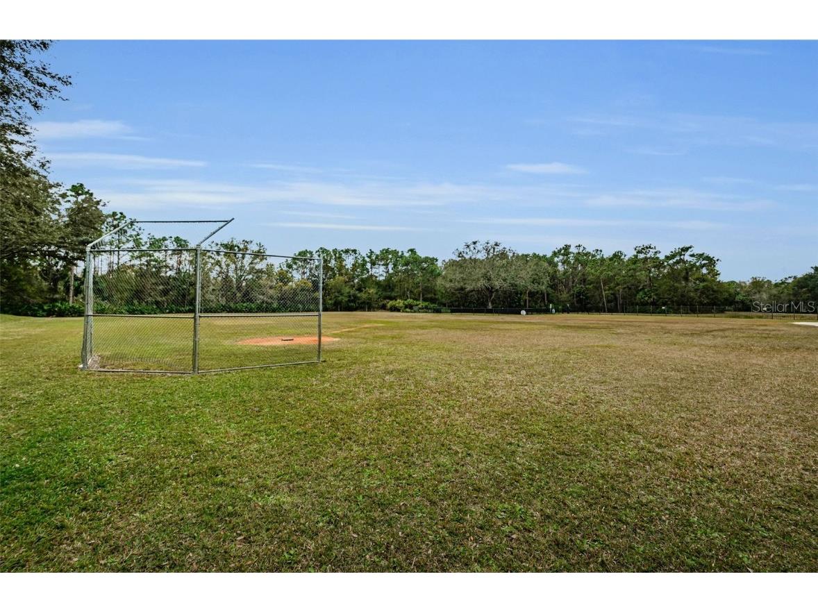 8604 Herons Cove Place Tampa FL 33647 TB8399775 image64