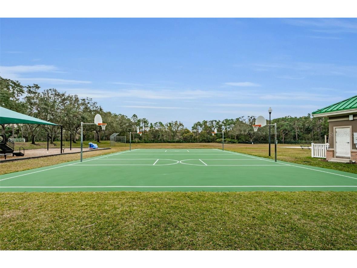 8604 Herons Cove Place Tampa FL 33647 TB8399775 image65