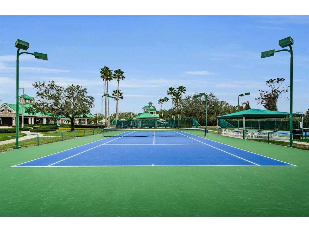 8604 Herons Cove Place Tampa FL 33647 TB8399775 image66