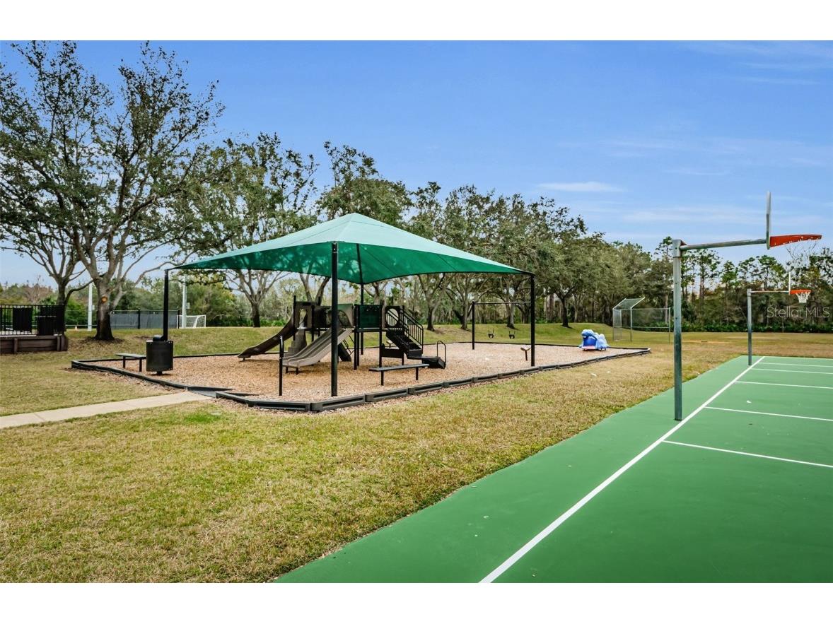 8604 Herons Cove Place Tampa FL 33647 TB8399775 image67