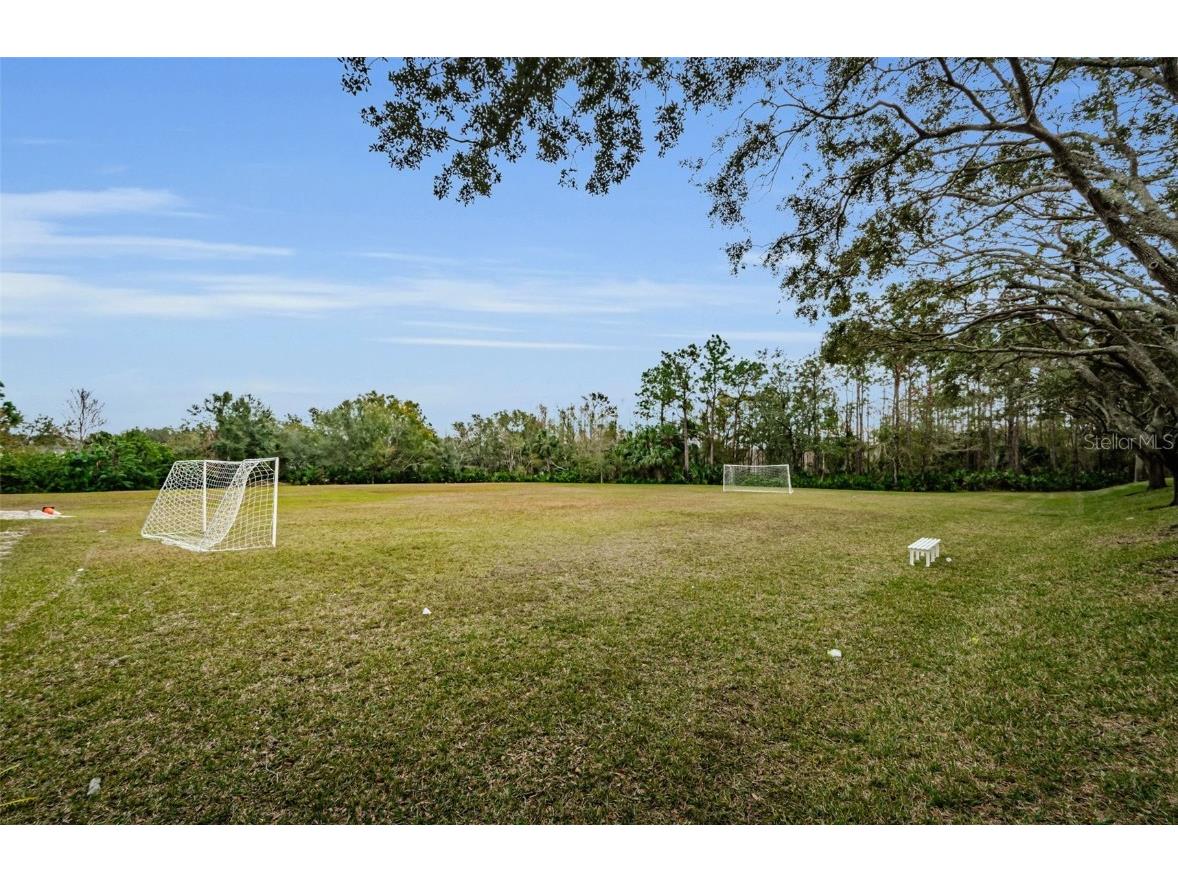 8604 Herons Cove Place Tampa FL 33647 TB8399775 image71