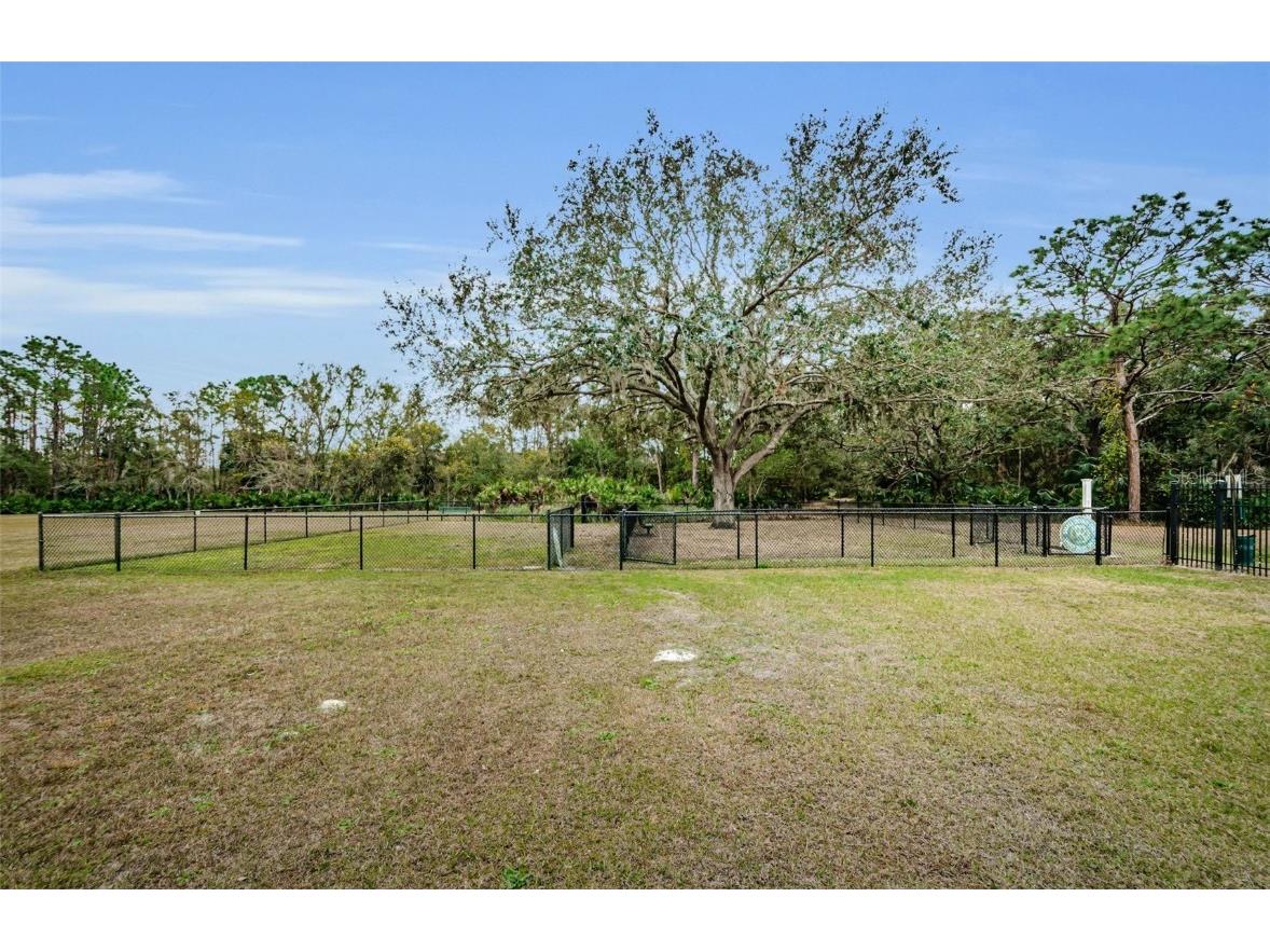 8604 Herons Cove Place Tampa FL 33647 TB8399775 image72