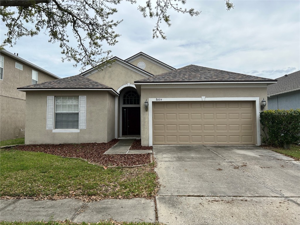 8604 Sandy Plains Drive Riverview FL 33578 T3509755 image1