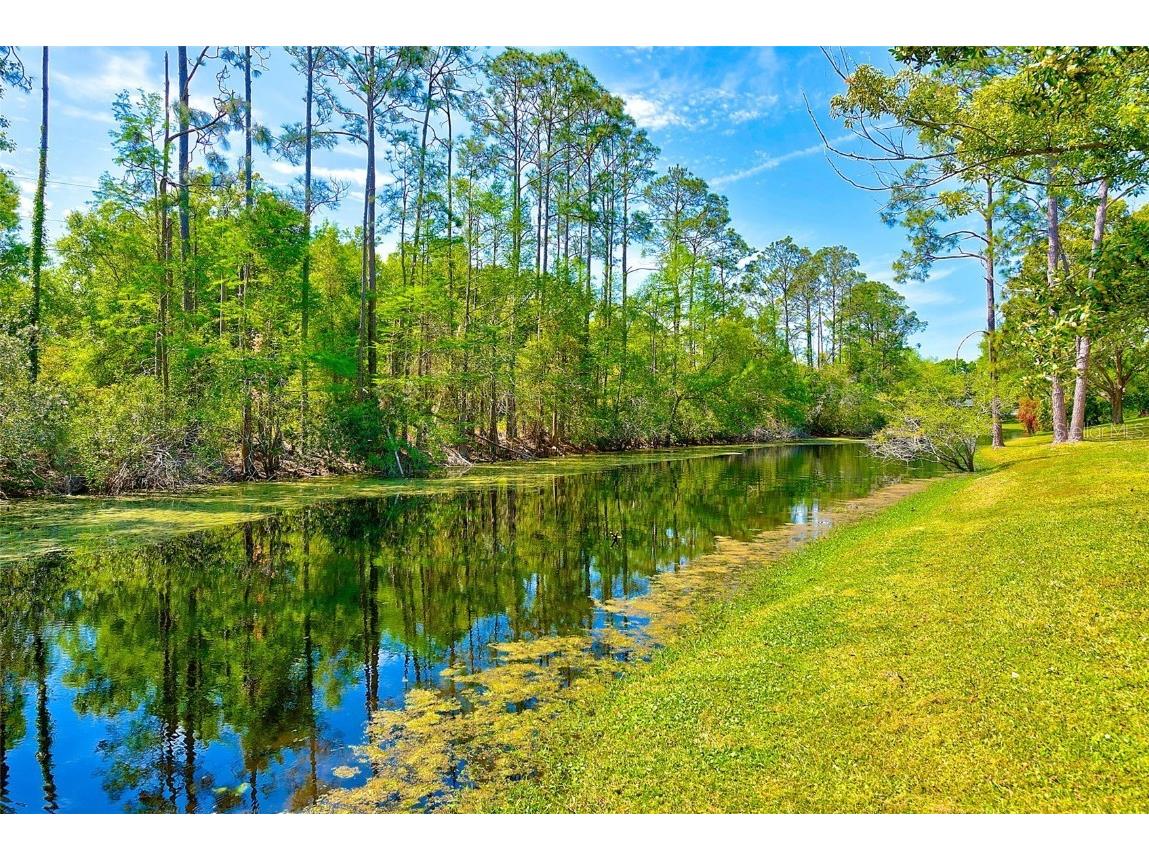 8604 Village Mill Row Hudson FL 34667 T3511995 image1