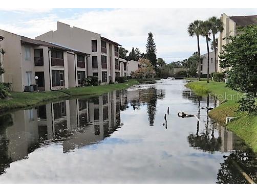 8605 Champlain Court #82 Tampa FL 33614 T3343041 image1