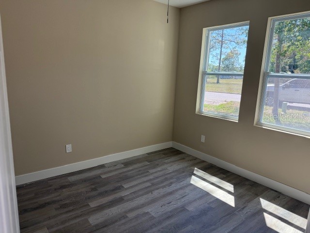 8605 N 48th Street Tampa FL 33617 TB8433811 image17