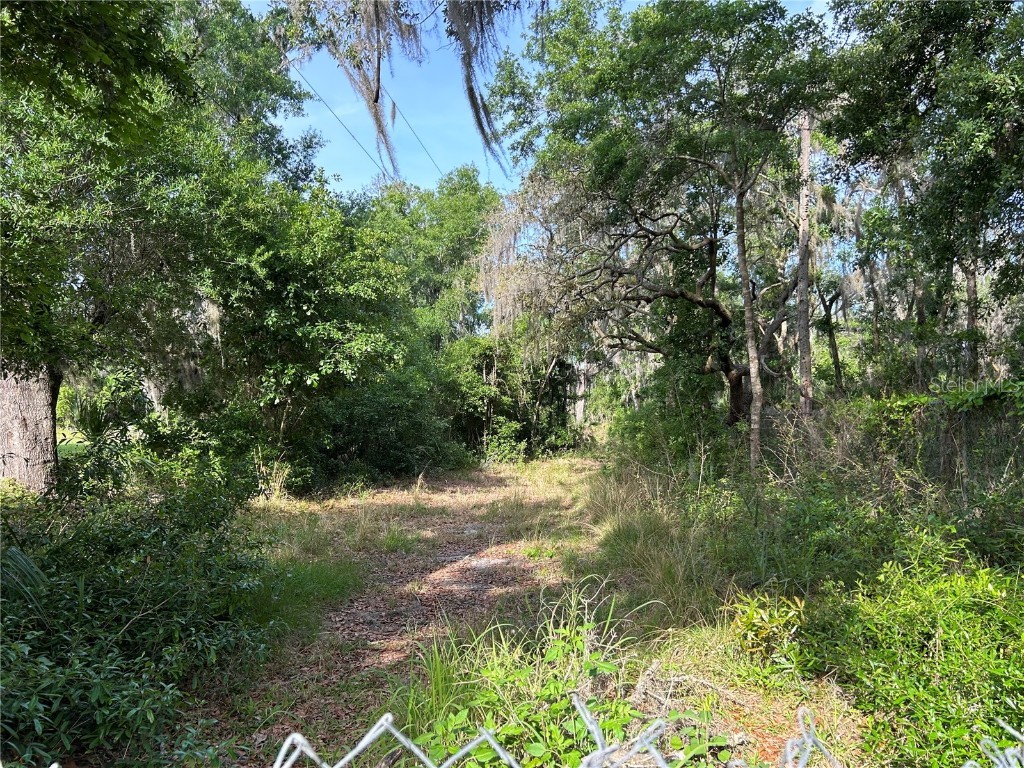 8605 Pitt Road Plant City FL 33567 T3515806 image1