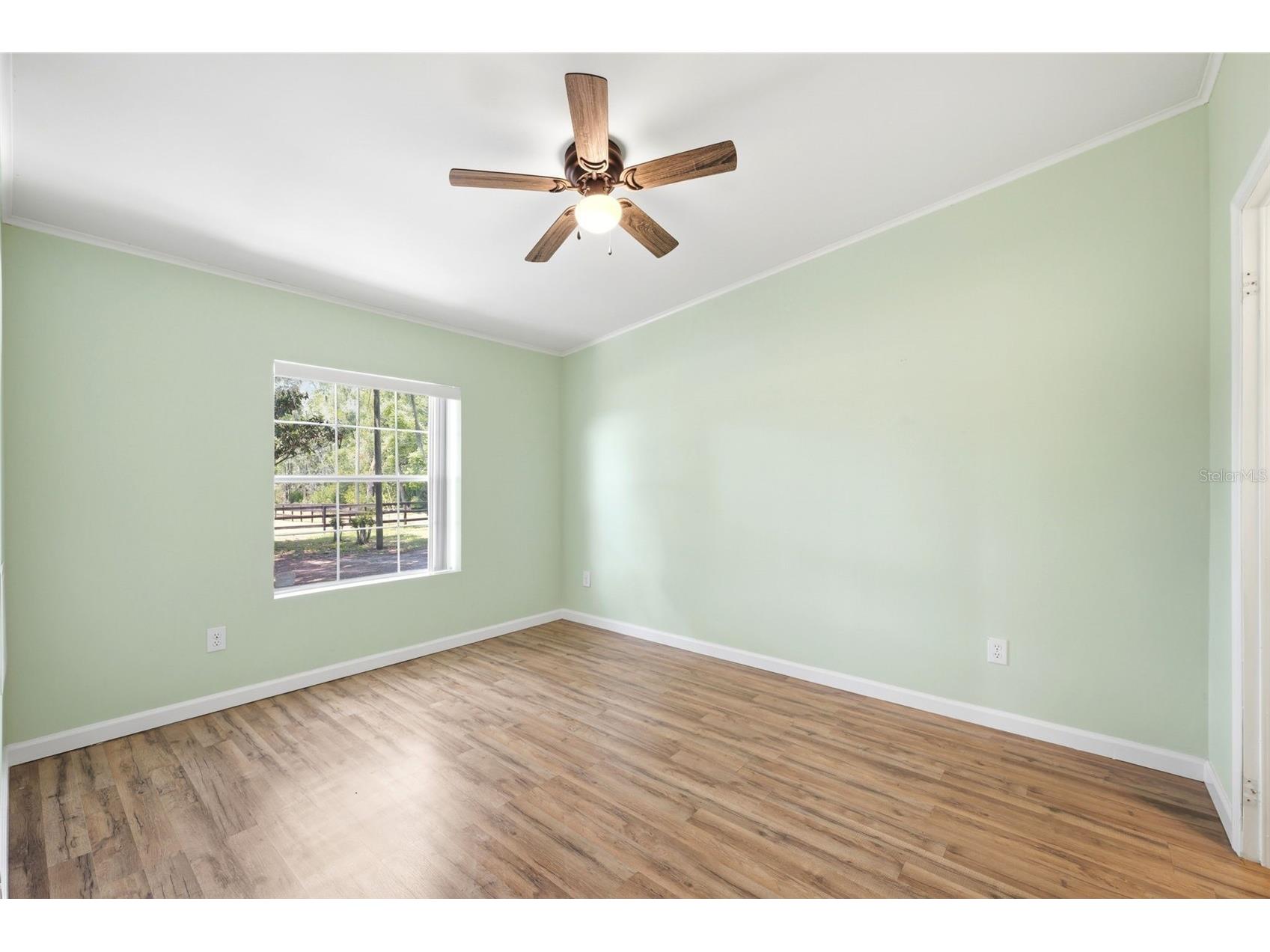 8606 Boyt Road Zephyrhills FL 33540 W7885006 image24