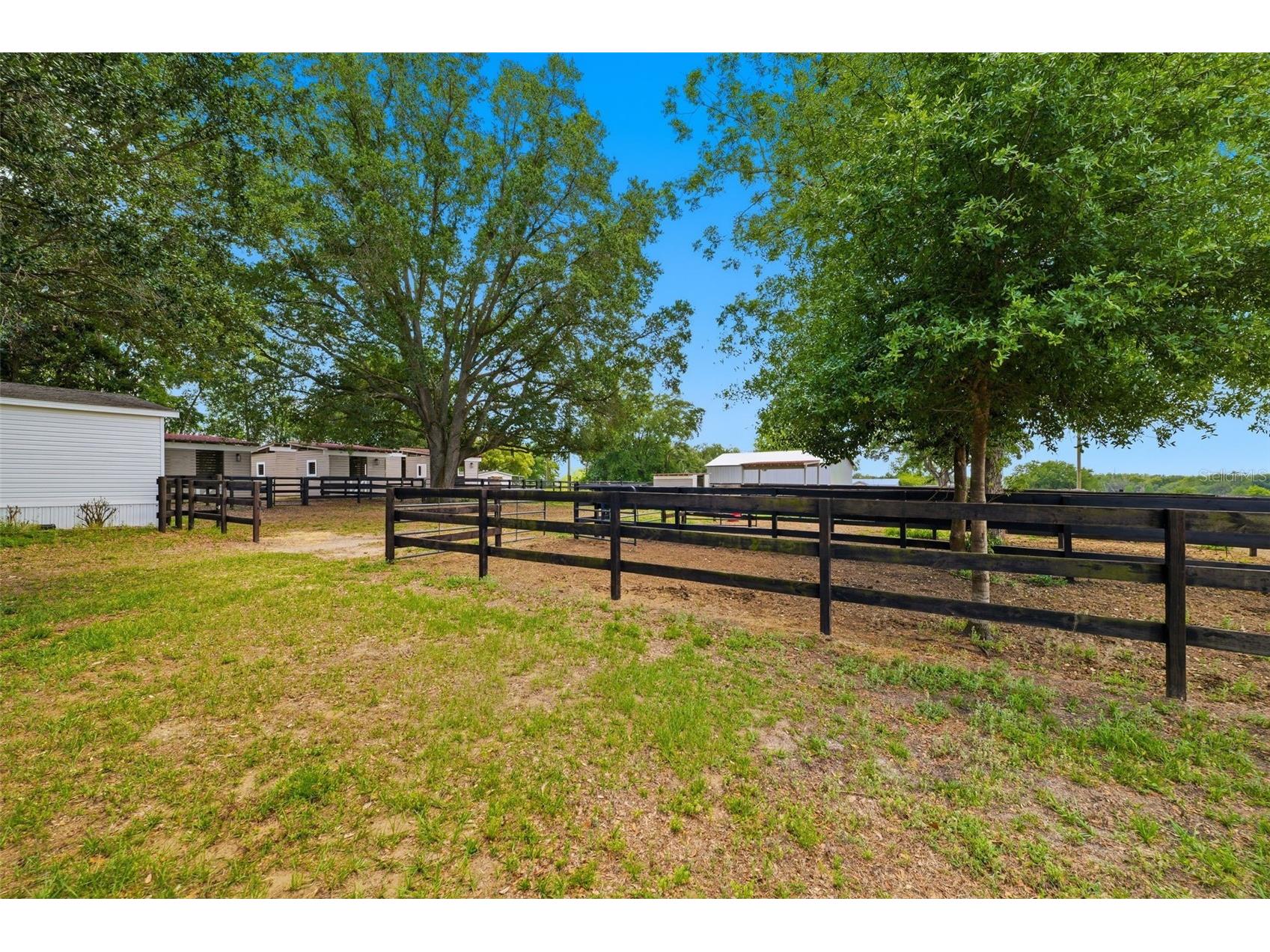 8606 Boyt Road Zephyrhills FL 33540 W7885006 image34