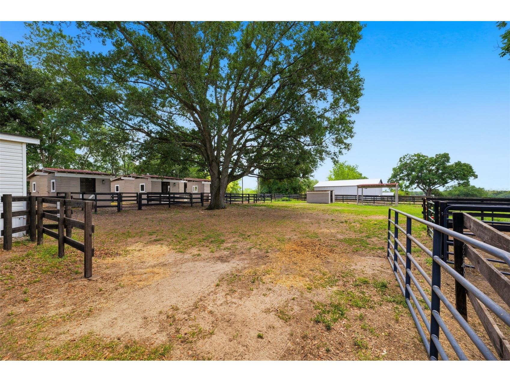 8606 Boyt Road Zephyrhills FL 33540 W7885006 image35