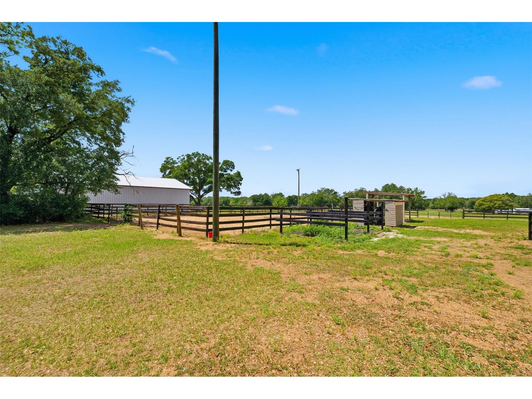 8606 Boyt Road Zephyrhills FL 33540 W7885006 image43