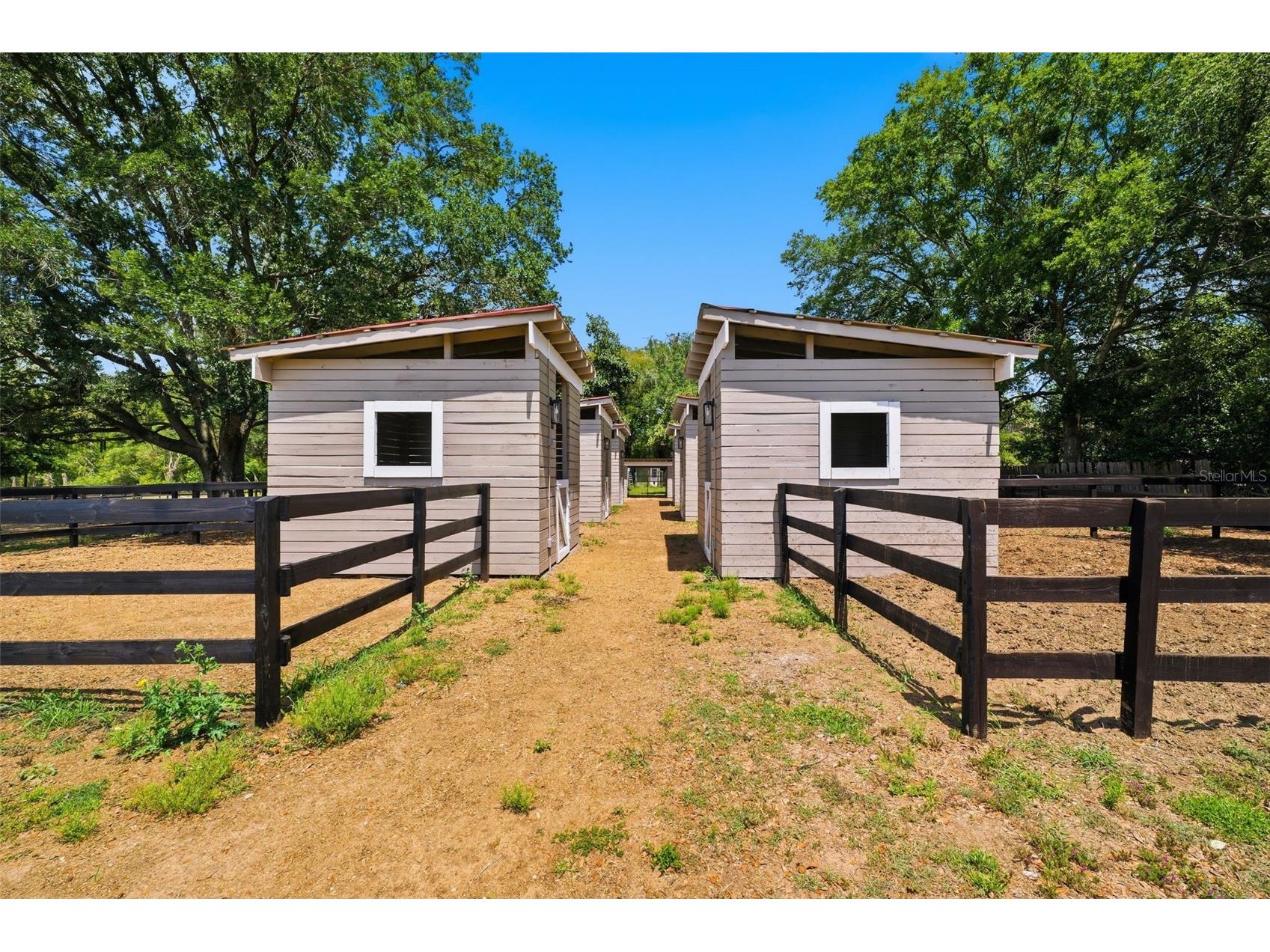 8606 Boyt Road Zephyrhills FL 33540 W7885006 image44