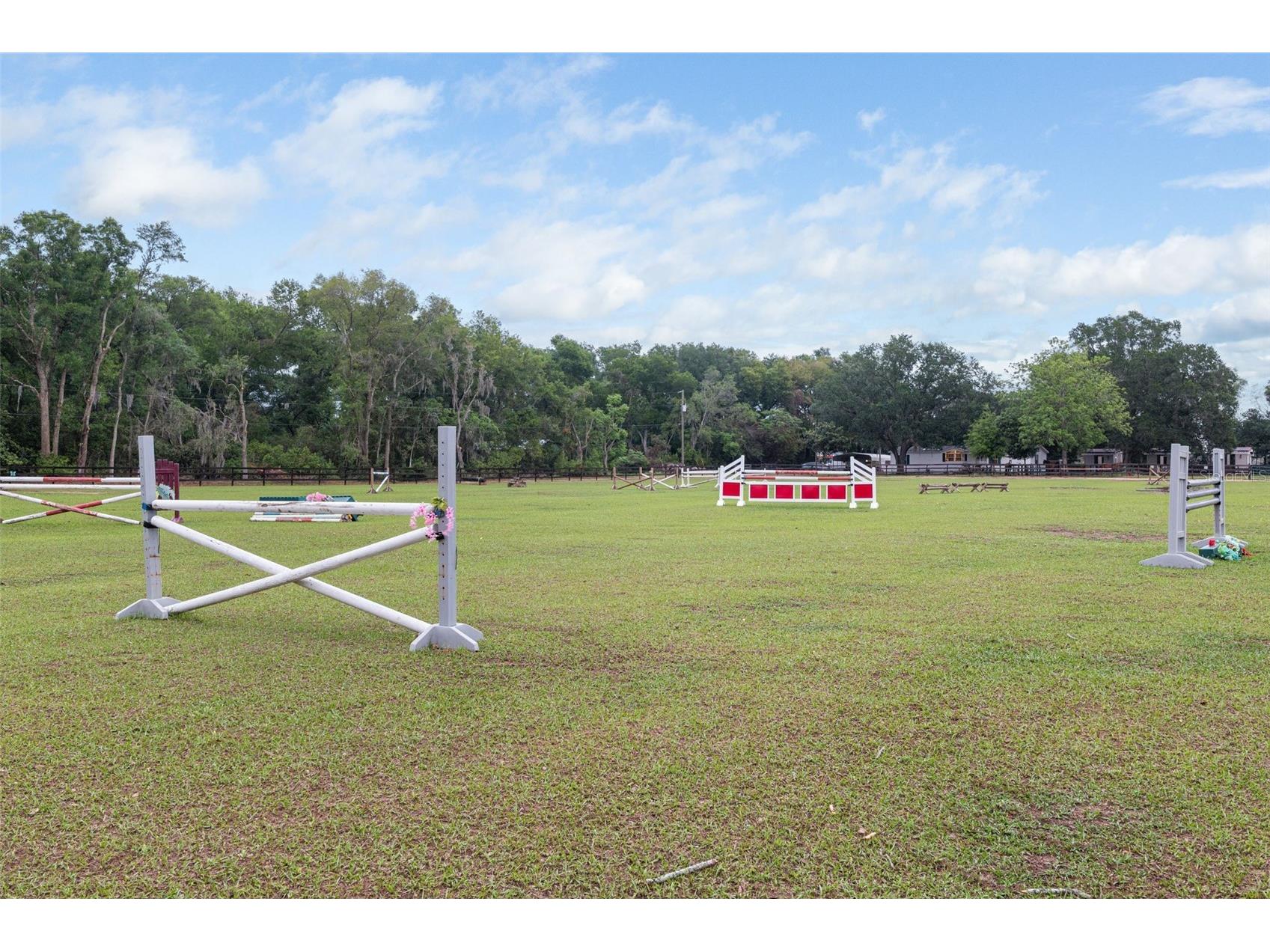 8606 Boyt Road Zephyrhills FL 33540 W7885006 image5