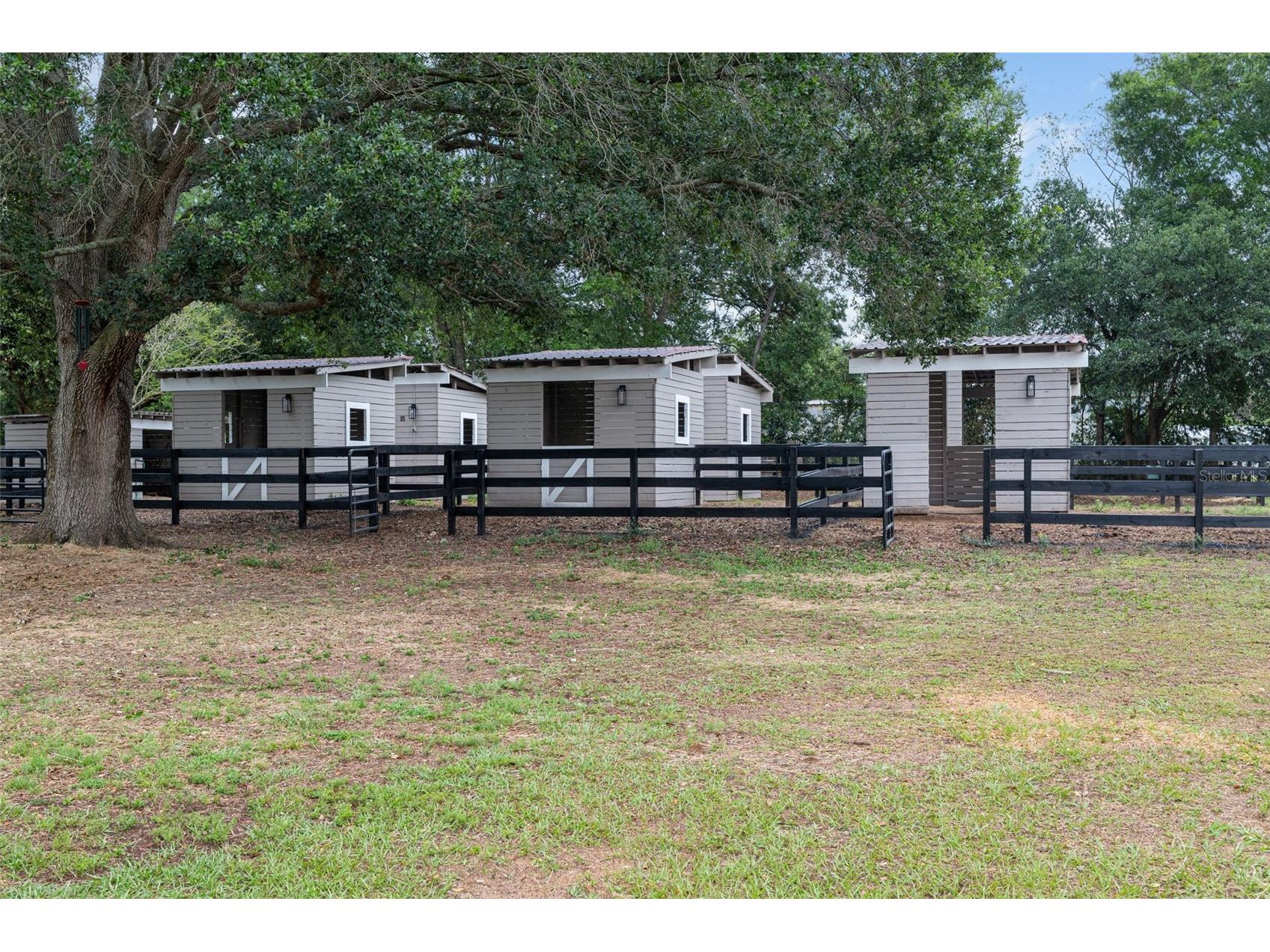 8606 Boyt Road Zephyrhills FL 33540 W7885006 image50