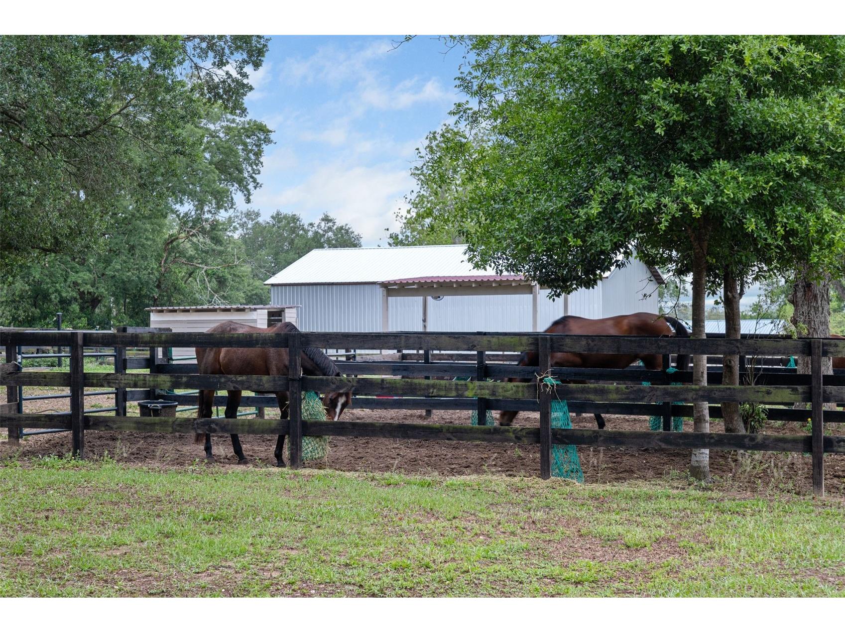 8606 Boyt Road Zephyrhills FL 33540 W7885006 image54