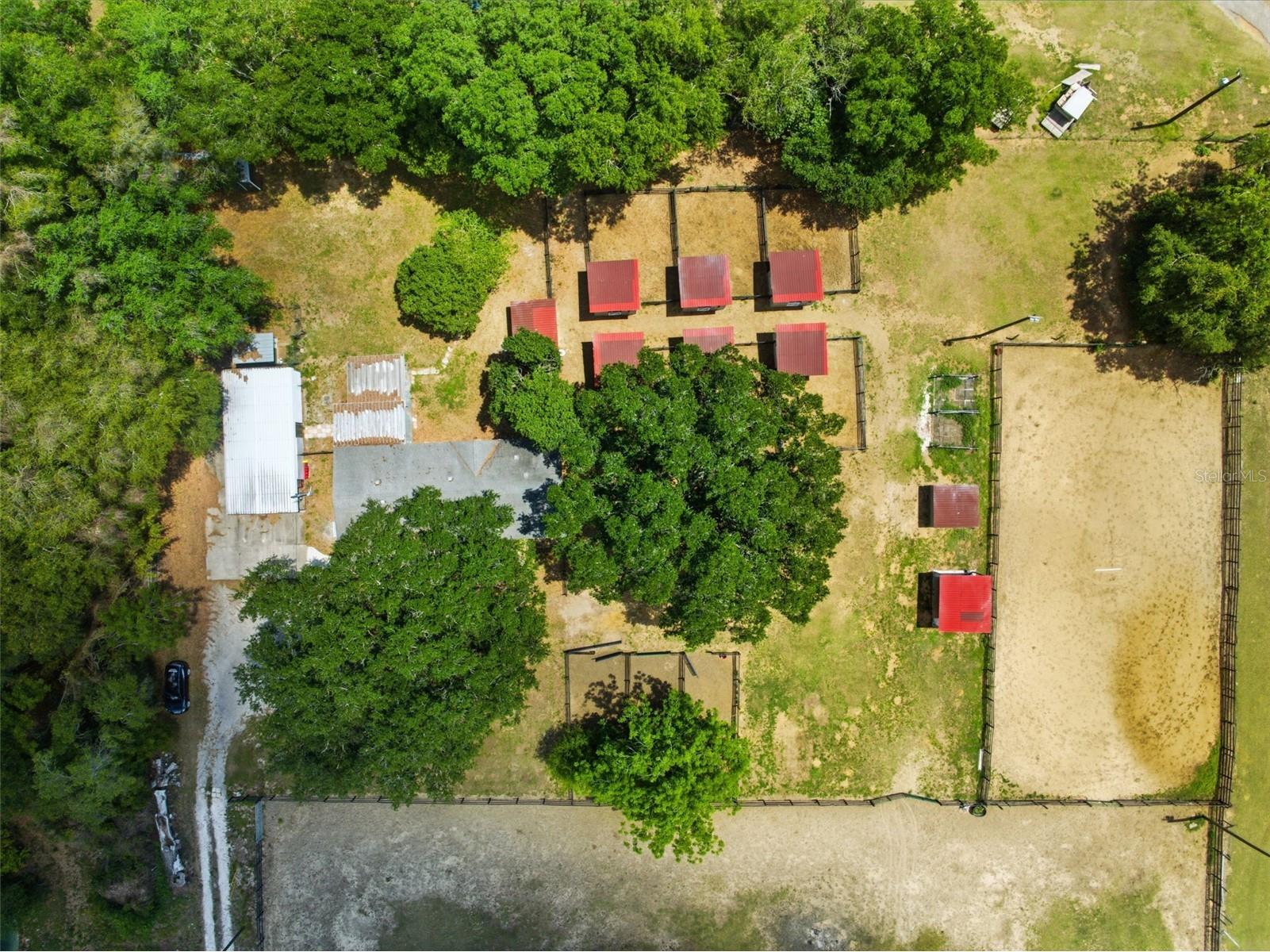 8606 Boyt Road Zephyrhills FL 33540 W7885006 image76