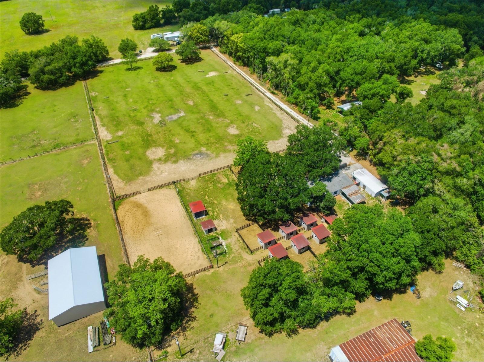 8606 Boyt Road Zephyrhills FL 33540 W7885006 image80
