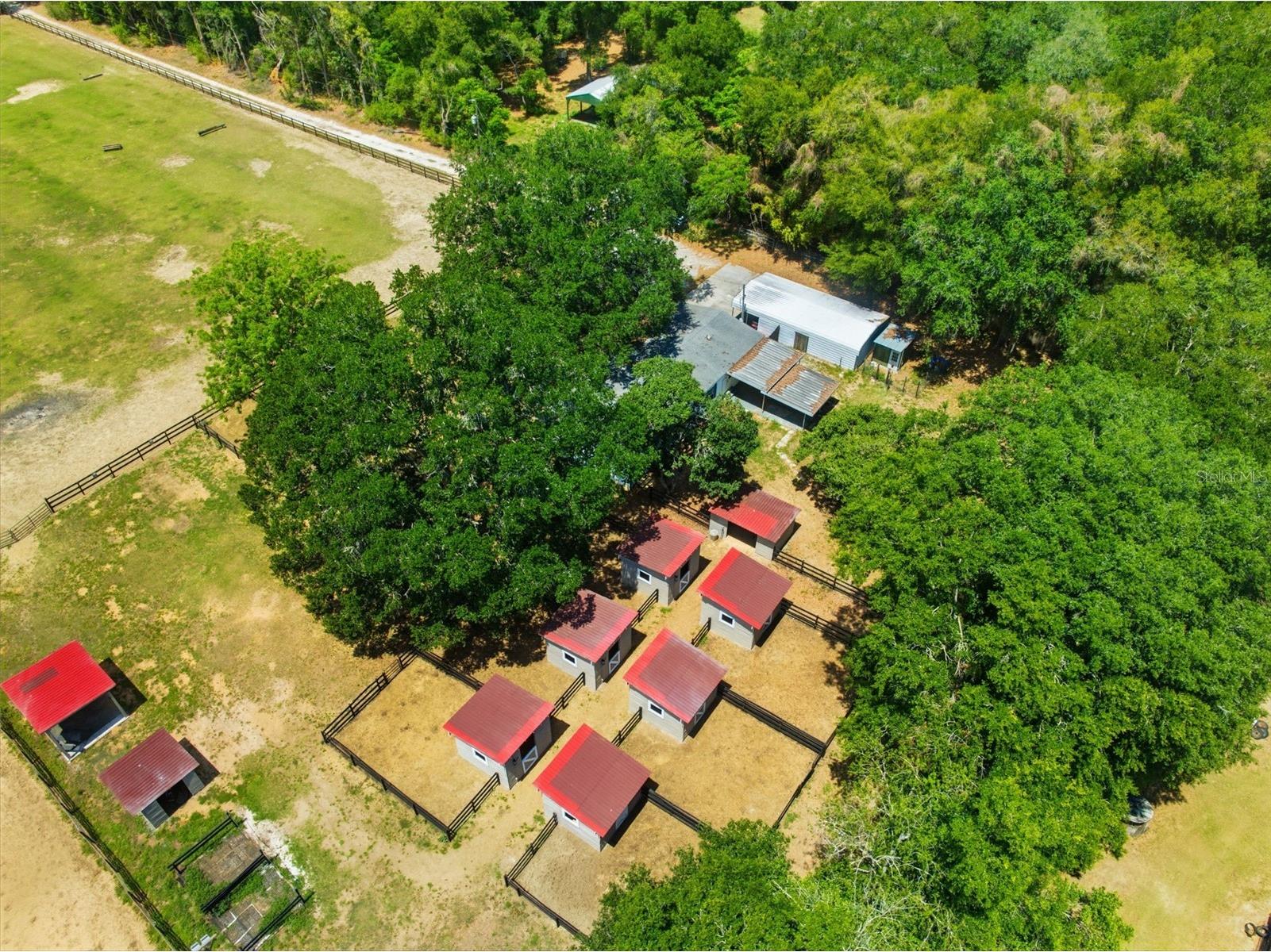 8606 Boyt Road Zephyrhills FL 33540 W7885006 image81