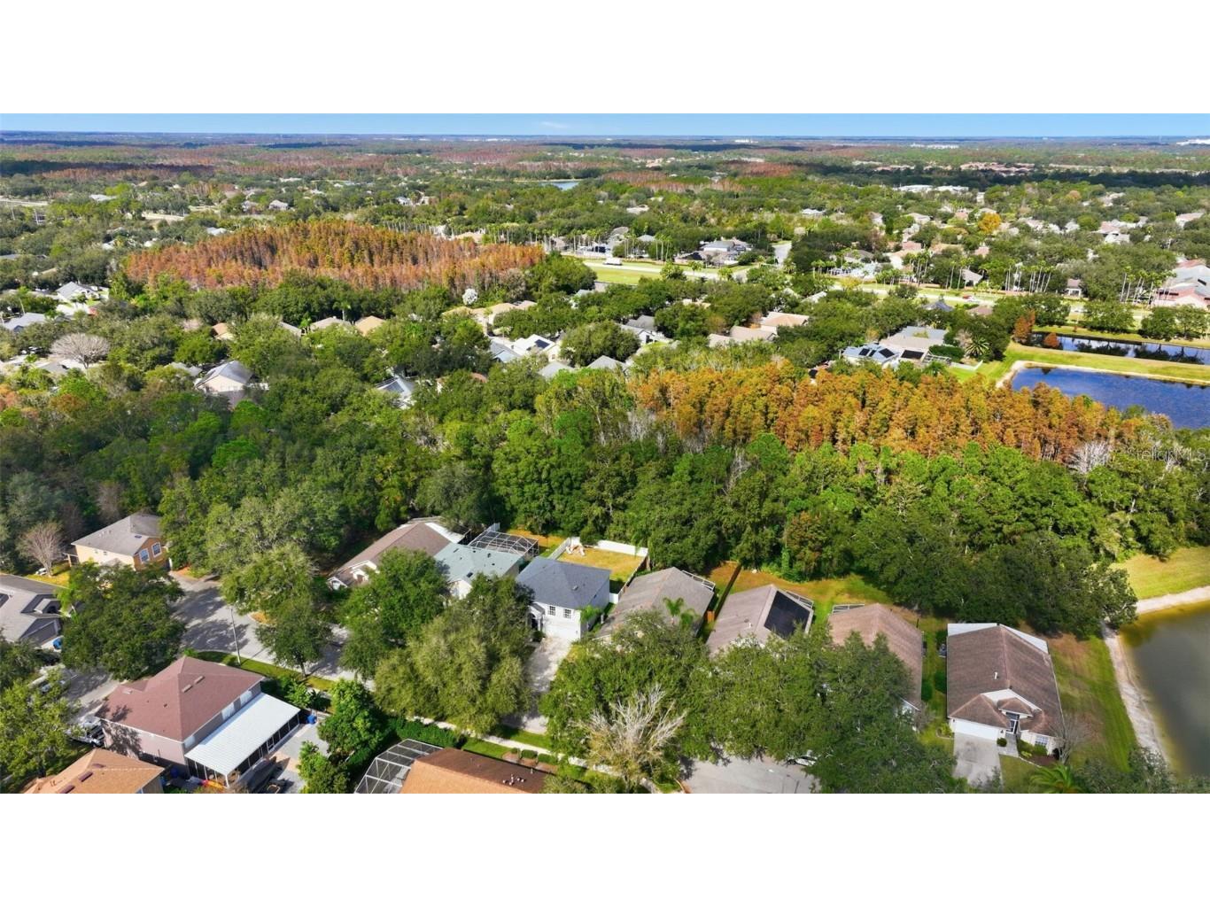 8606 Buttonbush Court Tampa FL 33647 TB8452768 image33