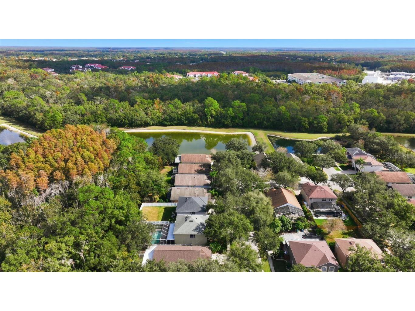 8606 Buttonbush Court Tampa FL 33647 TB8452768 image34