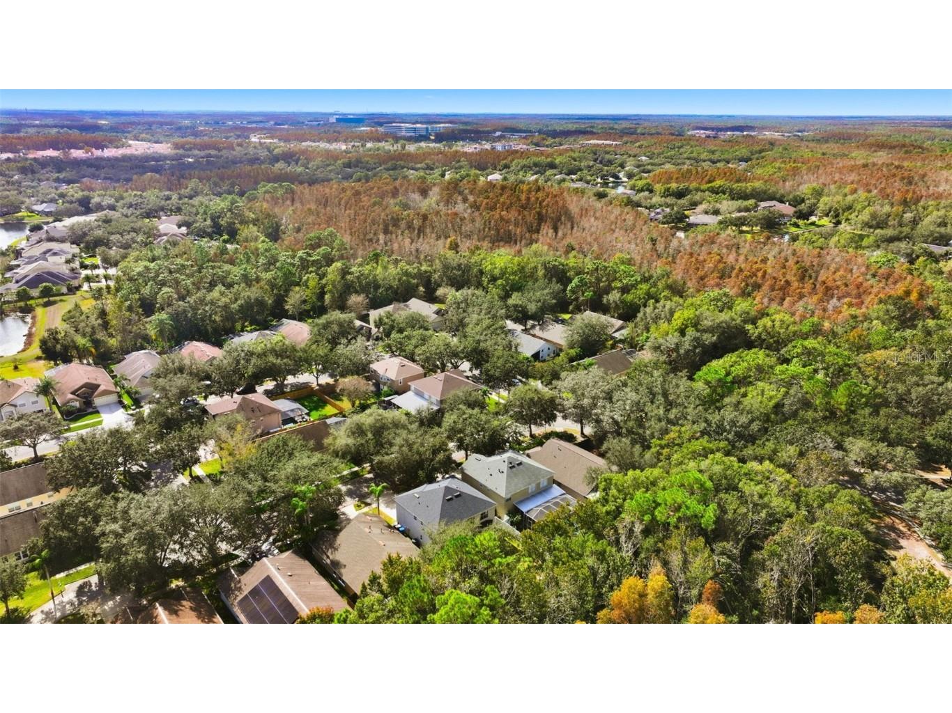 8606 Buttonbush Court Tampa FL 33647 TB8452768 image35