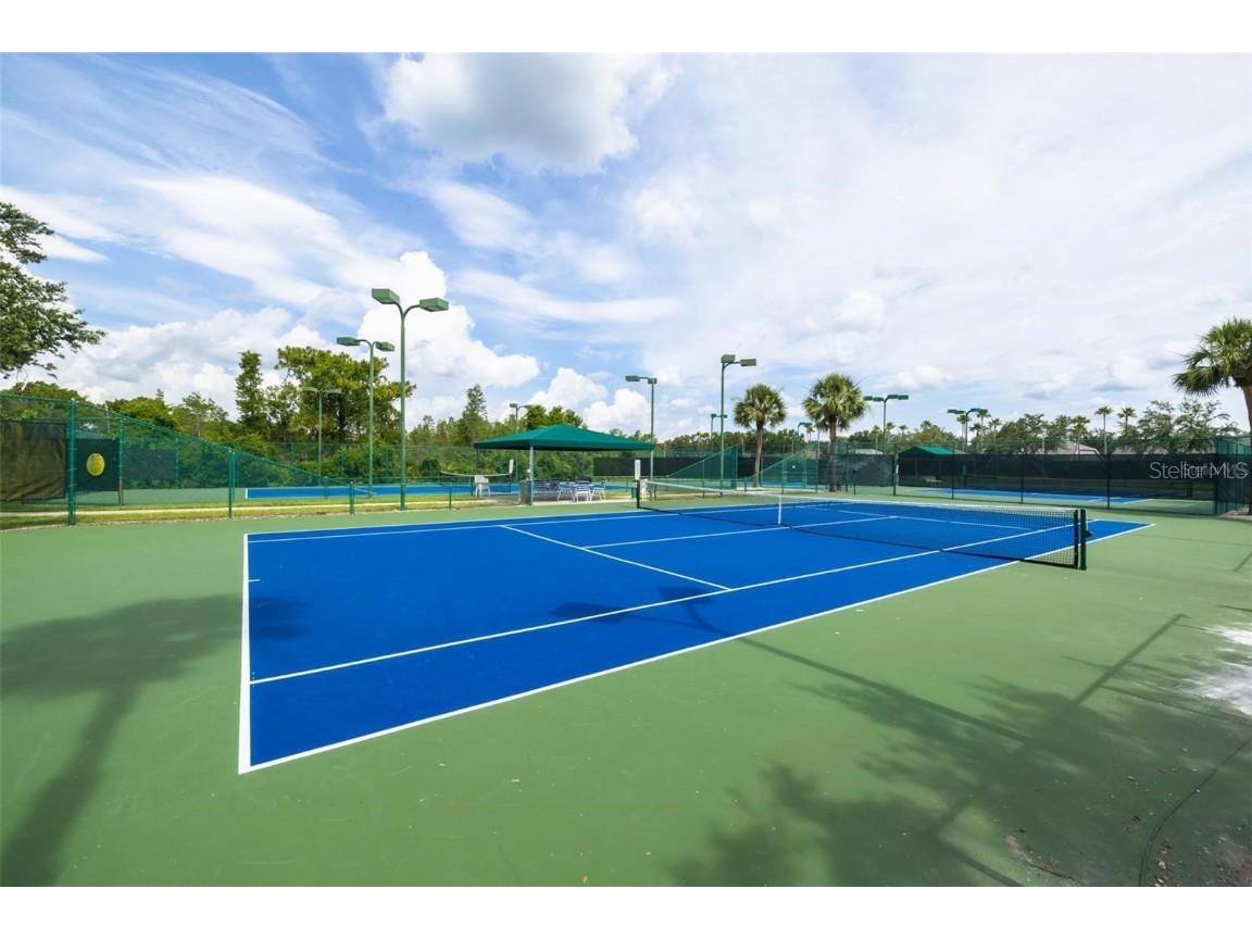 8606 Buttonbush Court Tampa FL 33647 TB8452768 image43