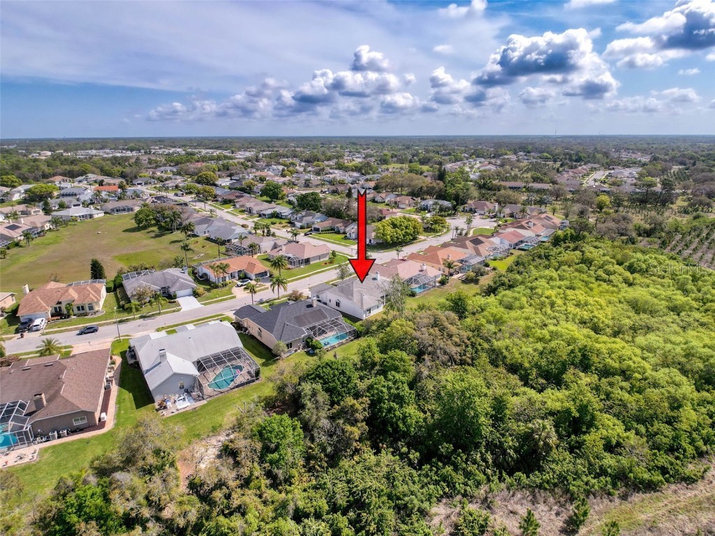 8606 Coral Creek Loop Hudson FL 34667 W7874155 image54