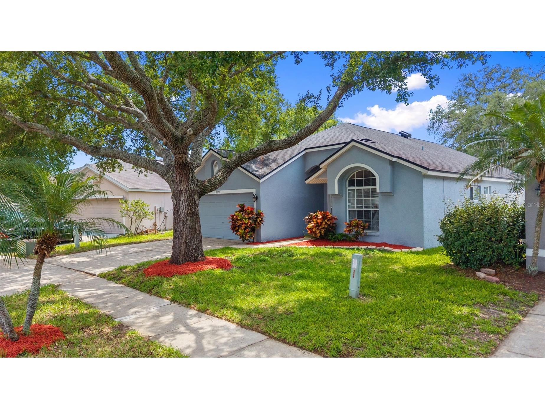 8606 Fawn Creek Drive Tampa FL 33626 TB8512187 image39
