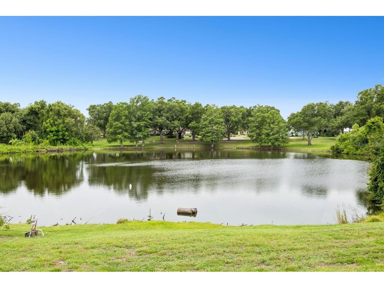 8606 Lost Cove Drive Orlando FL 32819 O6415719 image35
