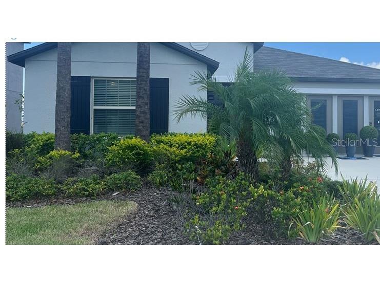 8606 Parsons Hill Boulevard Wesley Chapel FL 33545 T3455457 image1