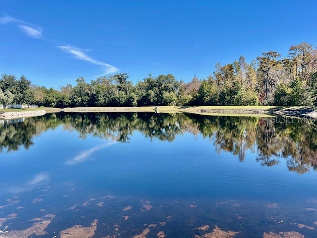 8606 Reedville Street New Port Richey FL 34654 - WEST MOON LAKE W7880682 image2