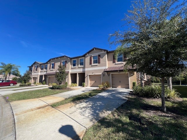 8606 Reedville Street New Port Richey FL 34654 - WEST MOON LAKE W7880682 image4