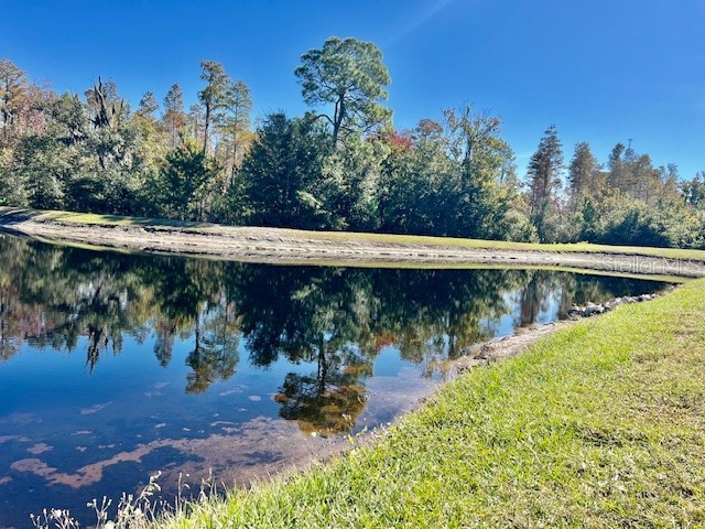 8606 Reedville Street New Port Richey FL 34654 - WEST MOON LAKE W7880682 image57