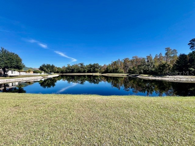 8606 Reedville Street New Port Richey FL 34654 - WEST MOON LAKE W7880682 image59