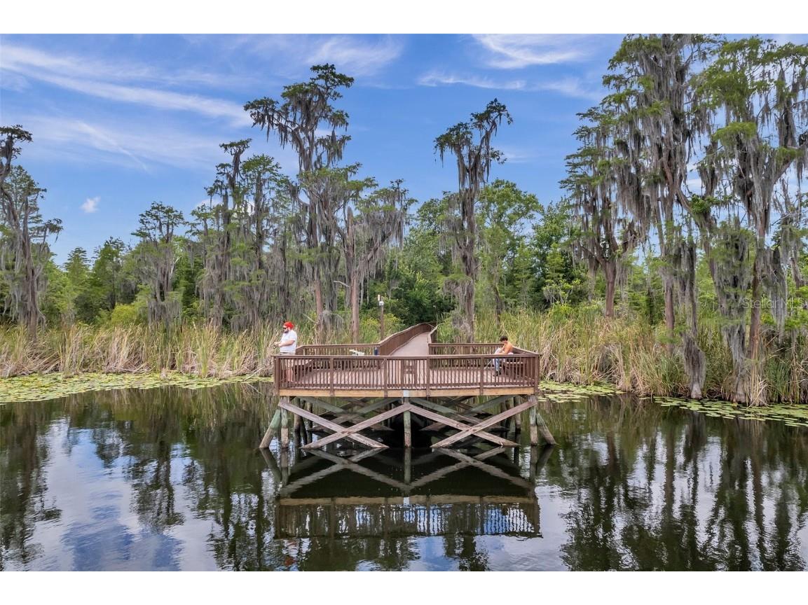 8606 Reedville Street New Port Richey FL 34654 - WEST MOON LAKE W7880682 image75